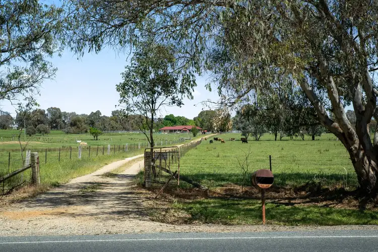 Fifth view of Homely rural property listing, 1085 Urana Road, Jindera NSW 2642