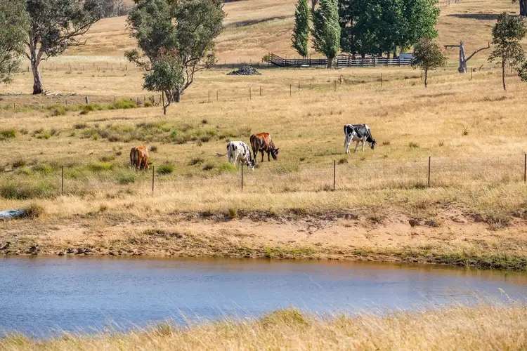 Second view of Homely rural property listing, 3705 Frogmore Road, Hovells Creek NSW 2794