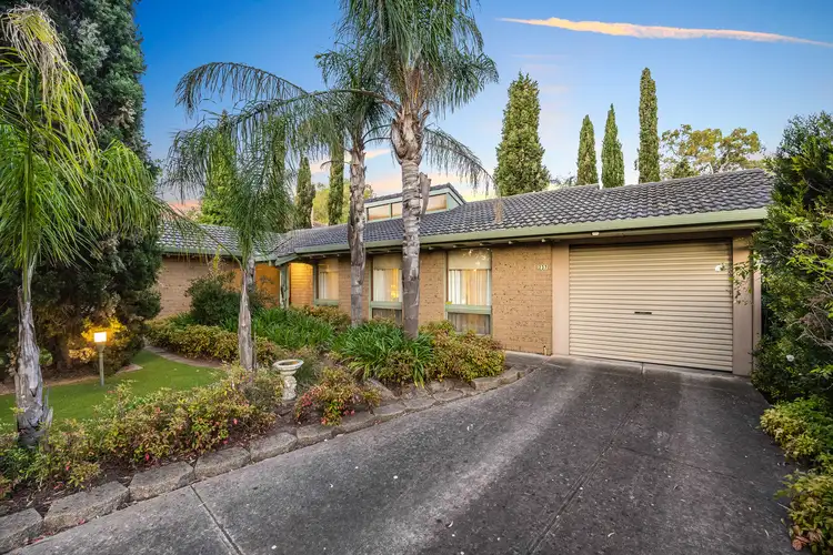 237 Hancock Road, Banksia Park SA 5091