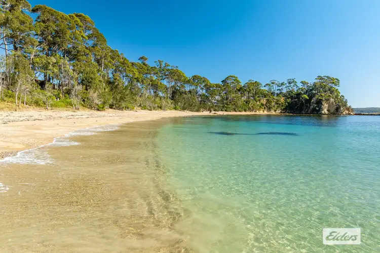 Fourth view of Homely unit listing, 2/440-442 Beach Road, Sunshine Bay NSW 2536