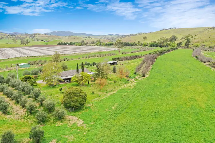 Main view of Homely house listing, 259 Sunny Point Road, Buchan VIC 3885