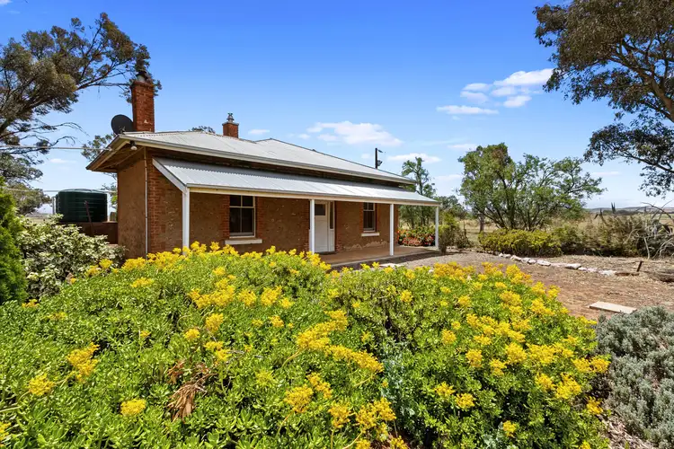 Main view of Homely rural property listing, 42 McMahon Road, Booborowie SA 5417