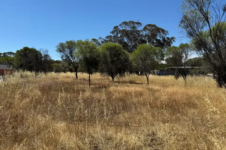 Fifth view of Homely land listing, Lot 122 Scott Street, Mount Hardey WA 6302