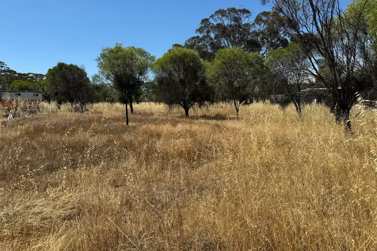 Seventh view of Homely land listing, Lot 122 Scott Street, Mount Hardey WA 6302