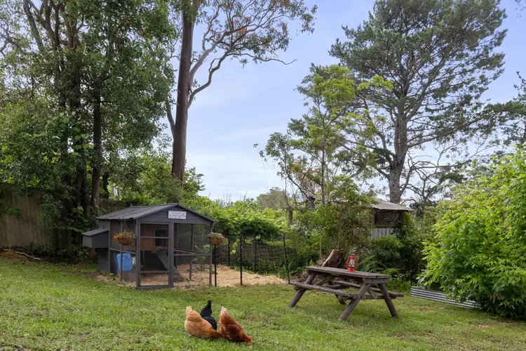 Sixth view of Homely house listing, 22 Hazelbrook Parade, Hazelbrook NSW 2779