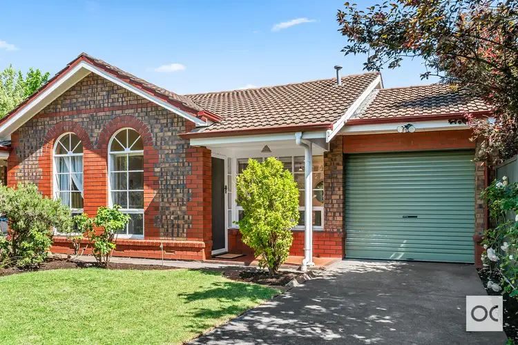 67a Winchester Street, Malvern SA 5061