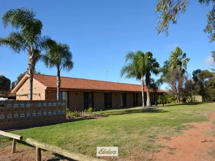 Main view of Homely unit listing, 1/133 Jacaranda Street, Red Cliffs VIC 3496