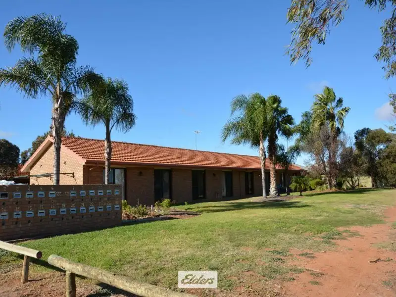 Main view of Homely unit listing, 1/133 Jacaranda Street, Red Cliffs VIC 3496