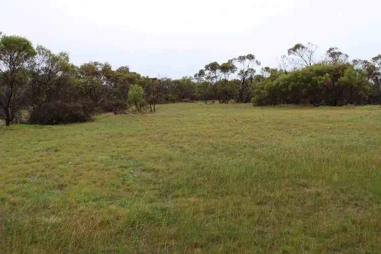 Main view of Homely rural property listing, 61 Blue Vista, Hopetoun WA 6348