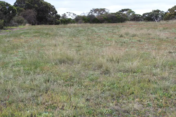 Third view of Homely rural property listing, 61 Blue Vista, Hopetoun WA 6348