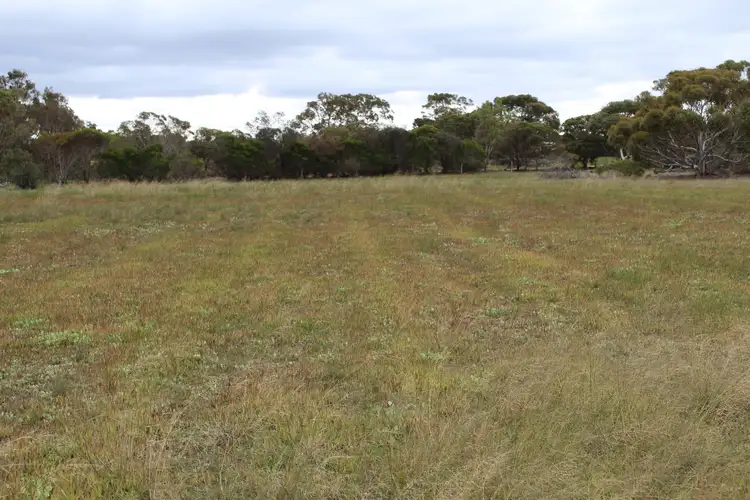 Fourth view of Homely rural property listing, 61 Blue Vista, Hopetoun WA 6348
