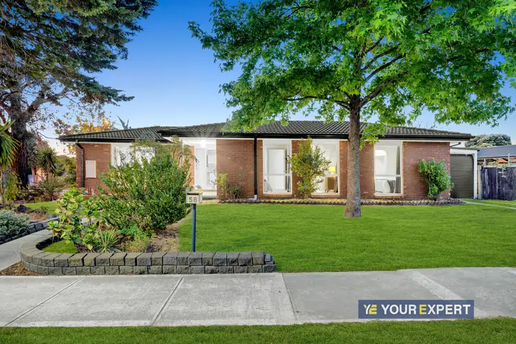 58 Cheviot Avenue, Berwick VIC 3806