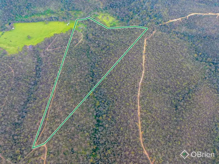 Second view of Homely rural property listing, 234 Timbarra Settlement Road, Buchan VIC 3885