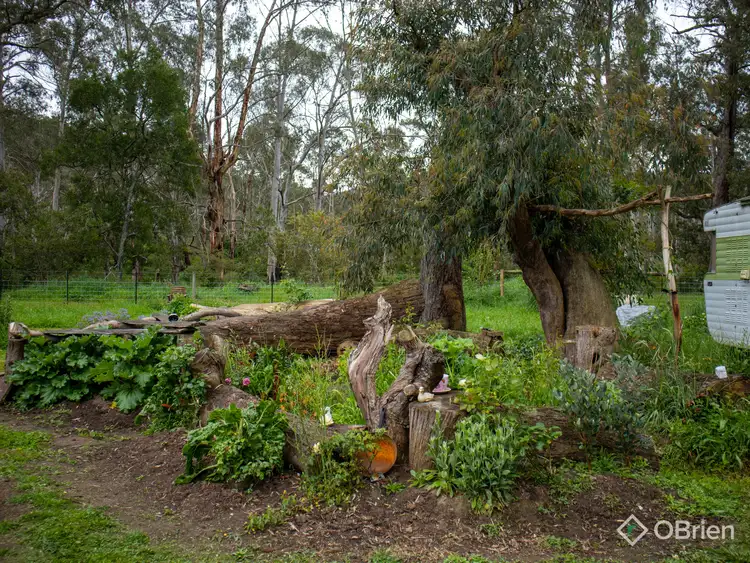 Seventh view of Homely rural property listing, 234 Timbarra Settlement Road, Buchan VIC 3885