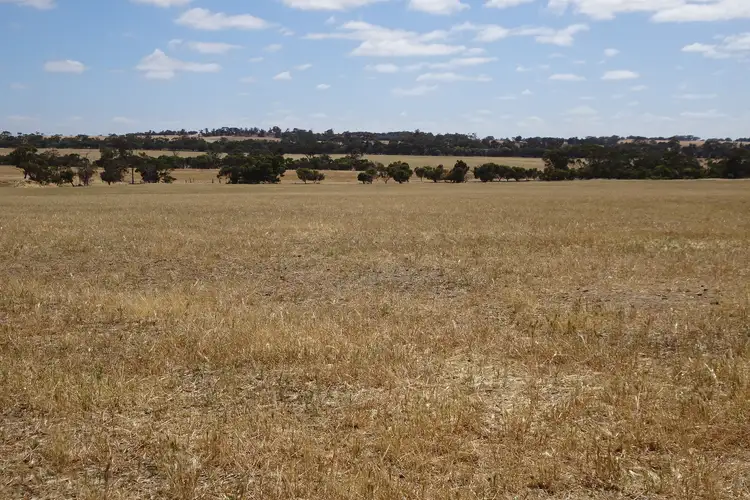 Seventh view of Homely rural property listing, Bolts Road, Wagin WA 6315