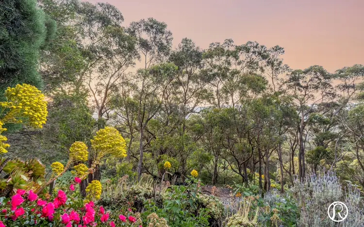 Third view of Homely house listing, 135 Boundary Drive, Carey Gully SA 5144
