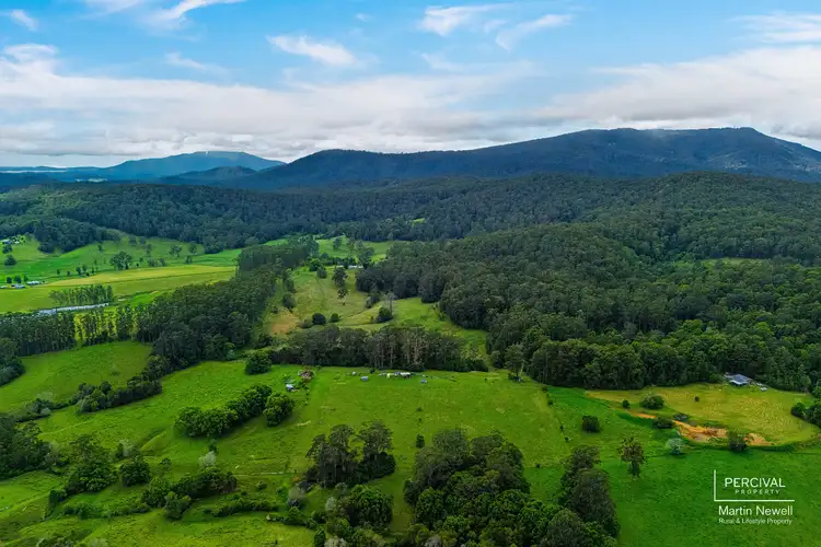 Lot 124 Neilson Lane, Lorne NSW 2439