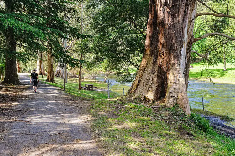 Seventh view of Homely land listing, 475 Old Warburton Road, Warburton VIC 3799
