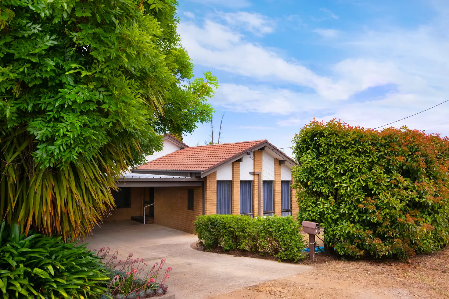 Main view of Homely house listing, 5 Ray Street, Castlemaine VIC 3450