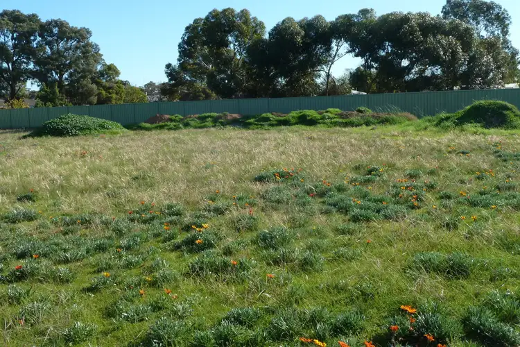 Sixth view of Homely rural property listing, 3 Marlo Court, Charlton VIC 3525