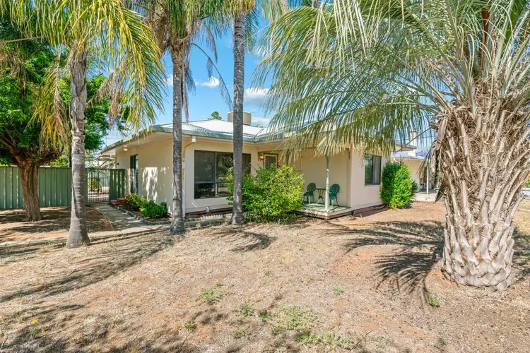 Main view of Homely house listing, 19 Laurel Street, Red Cliffs VIC 3496