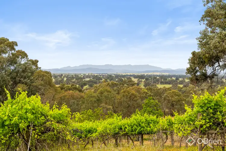 Main view of Homely rural property listing, 354 Glenrowan-Moyhu Road, Glenrowan VIC 3675