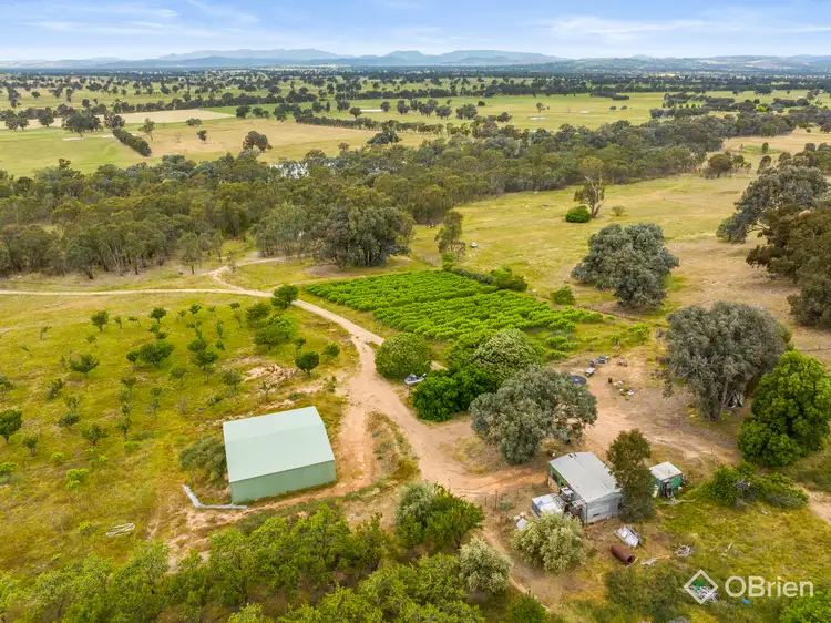 Third view of Homely rural property listing, 354 Glenrowan-Moyhu Road, Glenrowan VIC 3675