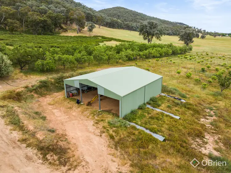 Sixth view of Homely rural property listing, 354 Glenrowan-Moyhu Road, Glenrowan VIC 3675
