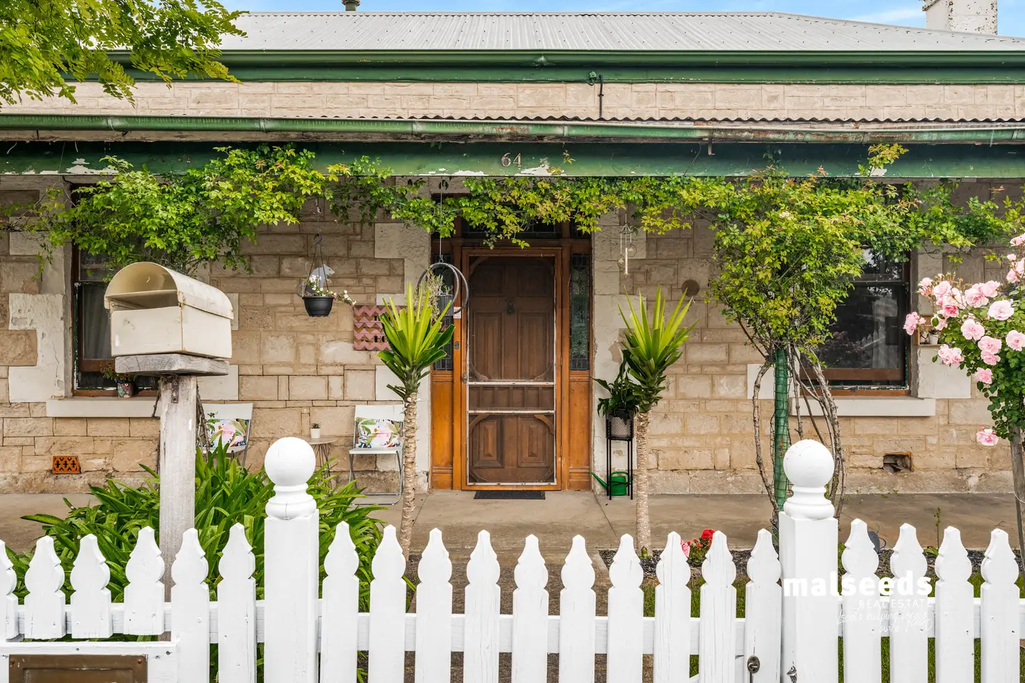 Main view of Homely house listing, 64 Williams Road, Millicent SA 5280