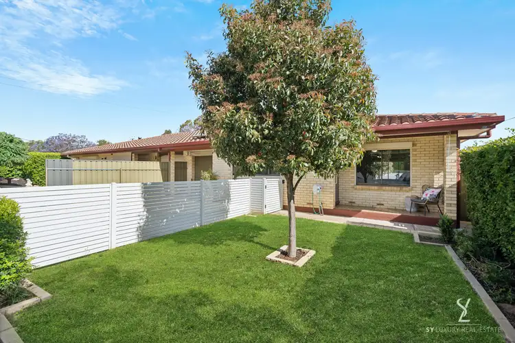 2/1 Morgan Avenue
