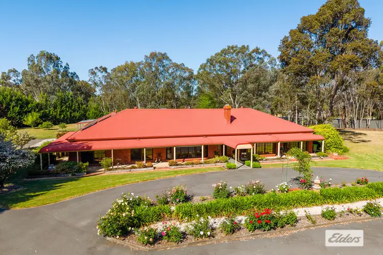 Second view of Homely house listing, 16 Bennett Road, Thurgoona NSW 2640