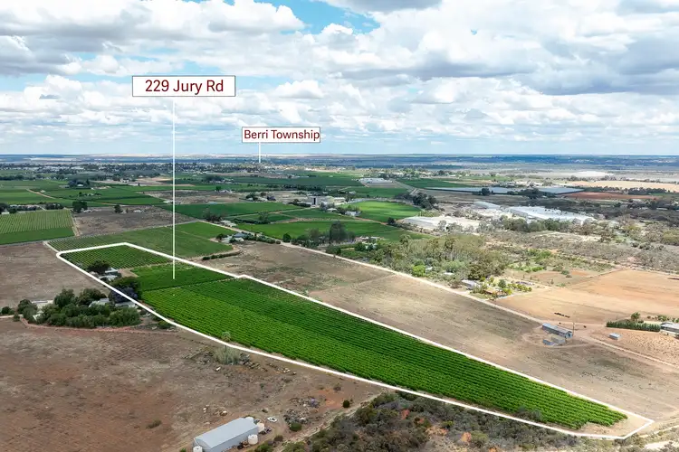 Third view of Homely house listing, 229 Jury Road, Glossop SA 5344
