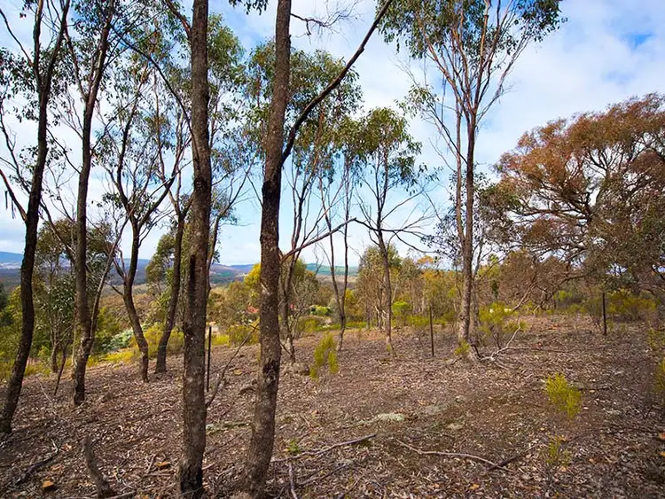 Second view of Homely land listing, 87 Congdon Road, Barkers Creek VIC 3451
