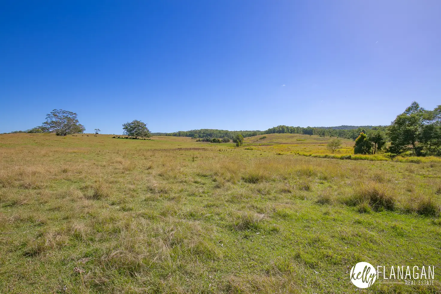 Main view of Homely rural property listing, 114 Hughes Access, Collombatti NSW 2440
