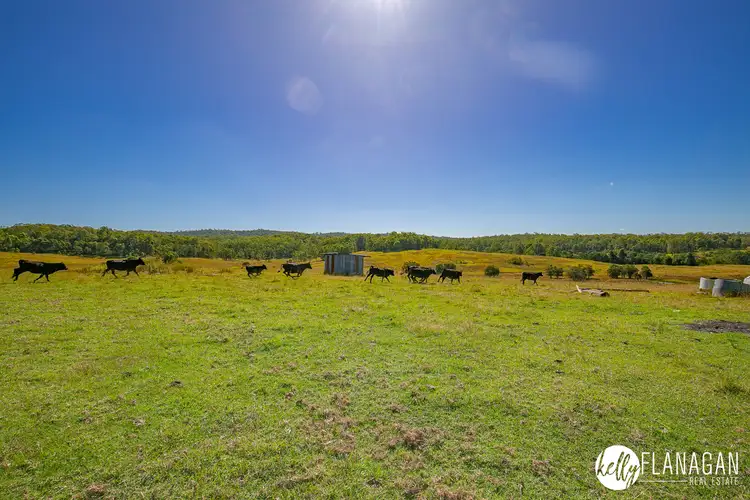 Seventh view of Homely rural property listing, 114 Hughes Access, Collombatti NSW 2440