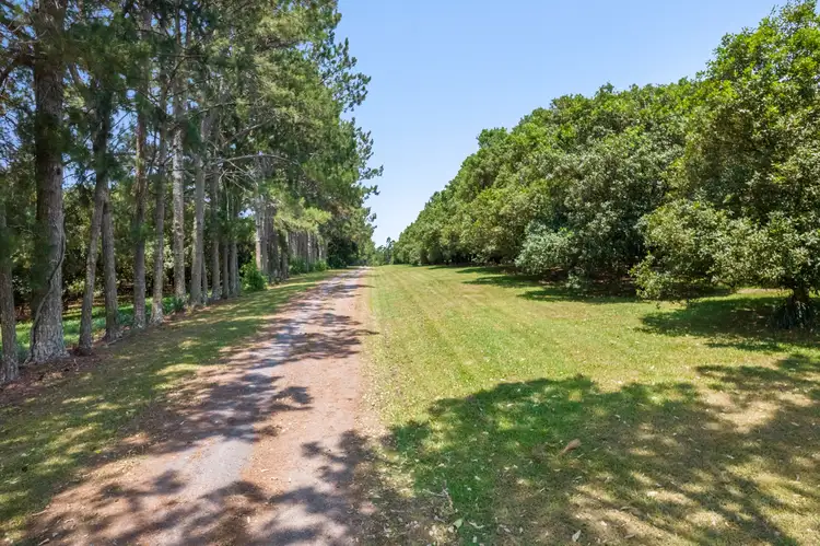 Main view of Homely rural property listing, 345-387 Friday Hut Road, Brooklet NSW 2479