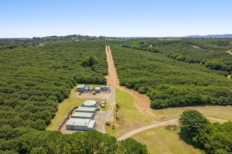 Second view of Homely rural property listing, 345-387 Friday Hut Road, Brooklet NSW 2479