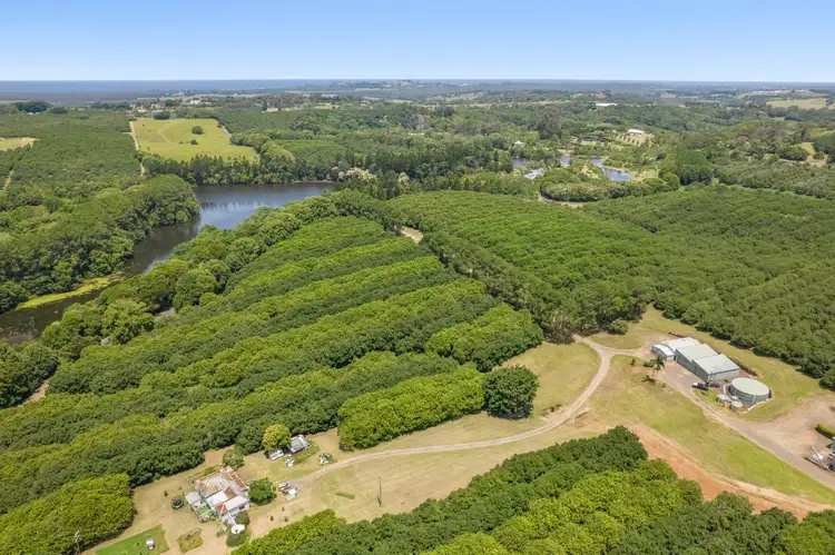 Fourth view of Homely rural property listing, 345-387 Friday Hut Road, Brooklet NSW 2479