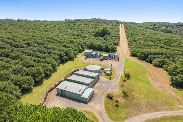 Fifth view of Homely rural property listing, 345-387 Friday Hut Road, Brooklet NSW 2479