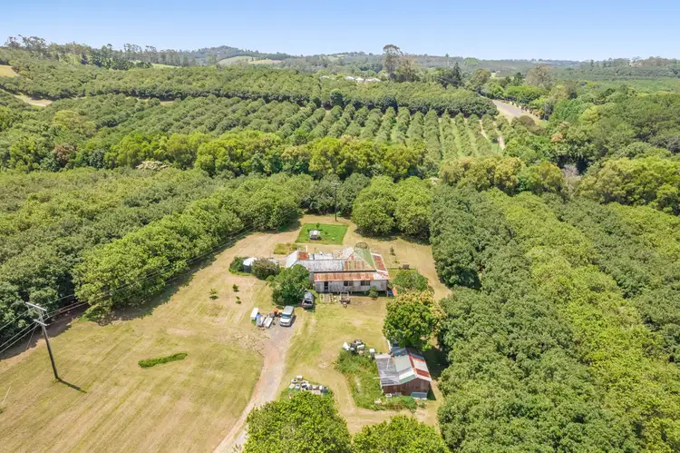 Sixth view of Homely rural property listing, 345-387 Friday Hut Road, Brooklet NSW 2479