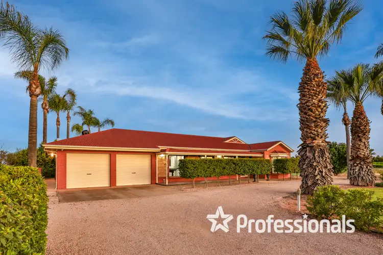 8538 Calder Highway, Red Cliffs VIC 3496