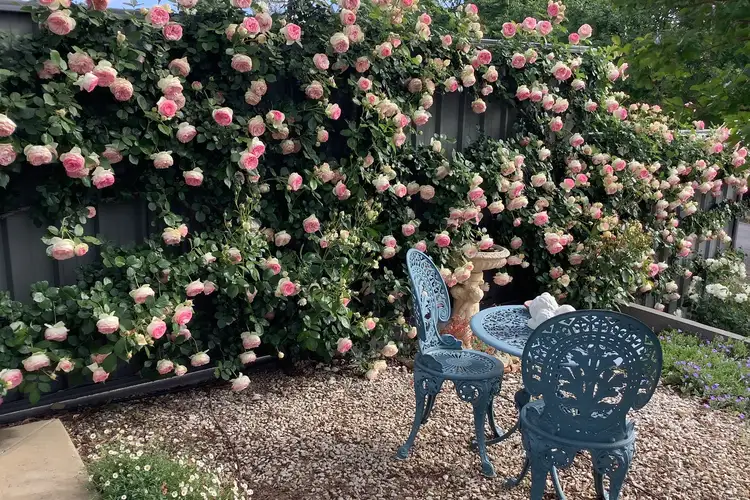 Second view of Homely house listing, 4A Webb Street, Clare SA 5453