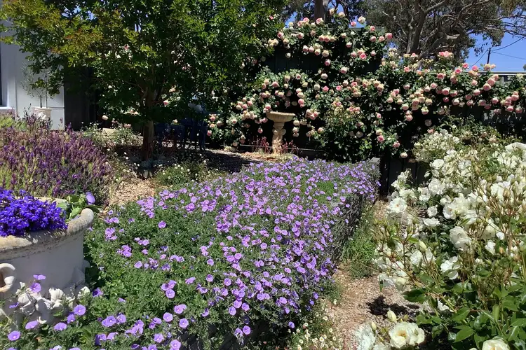 Third view of Homely house listing, 4A Webb Street, Clare SA 5453