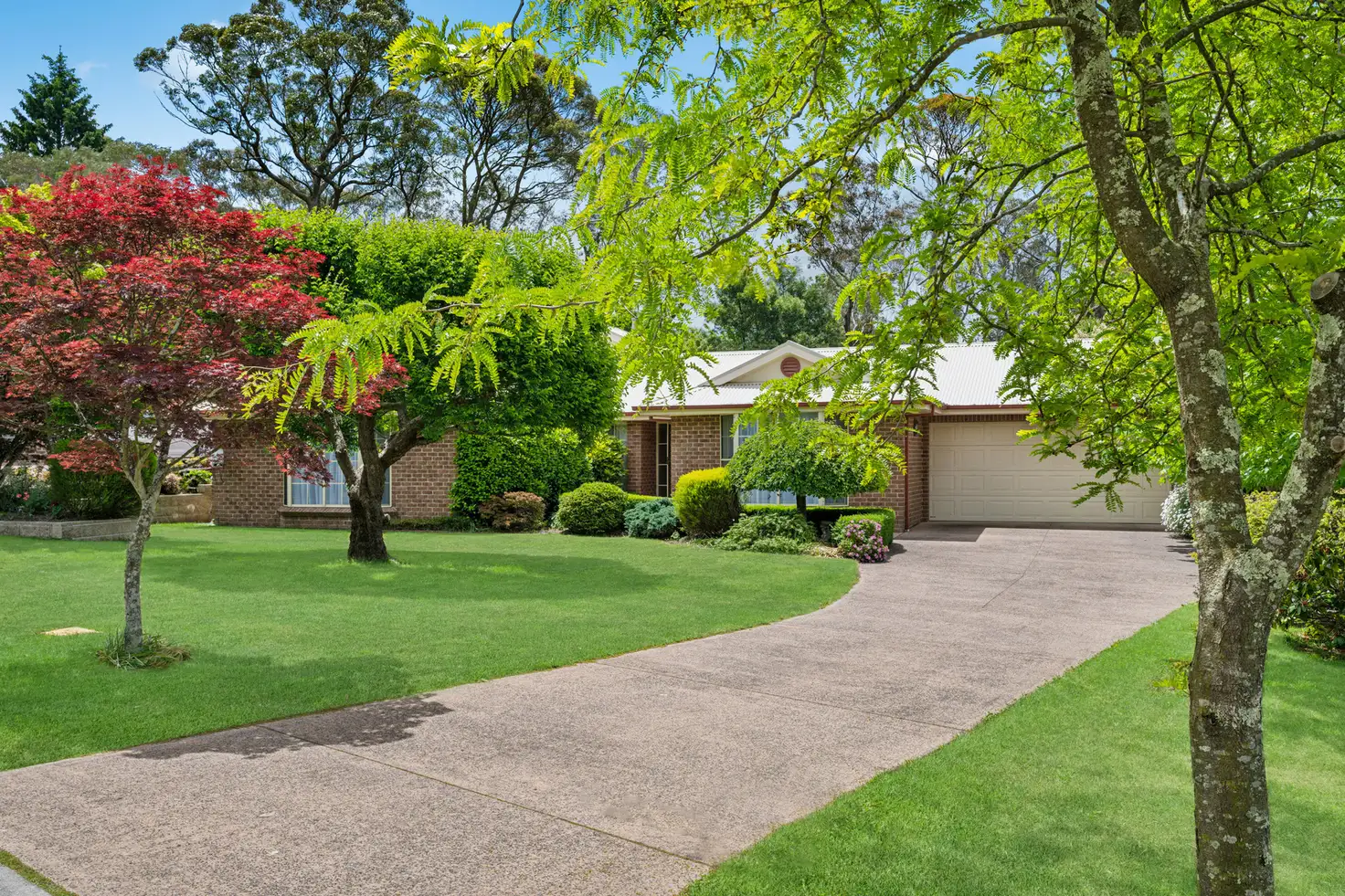 Main view of Homely house listing, 49 Forest Park Road, Blackheath NSW 2785
