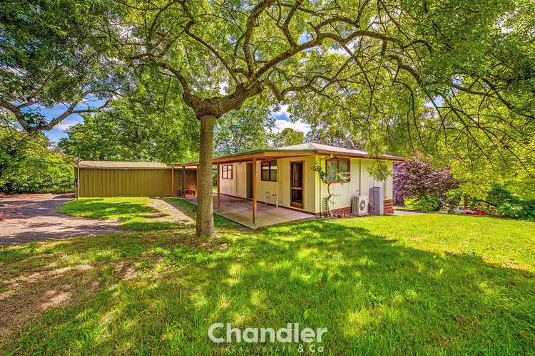 16 McNicol Road