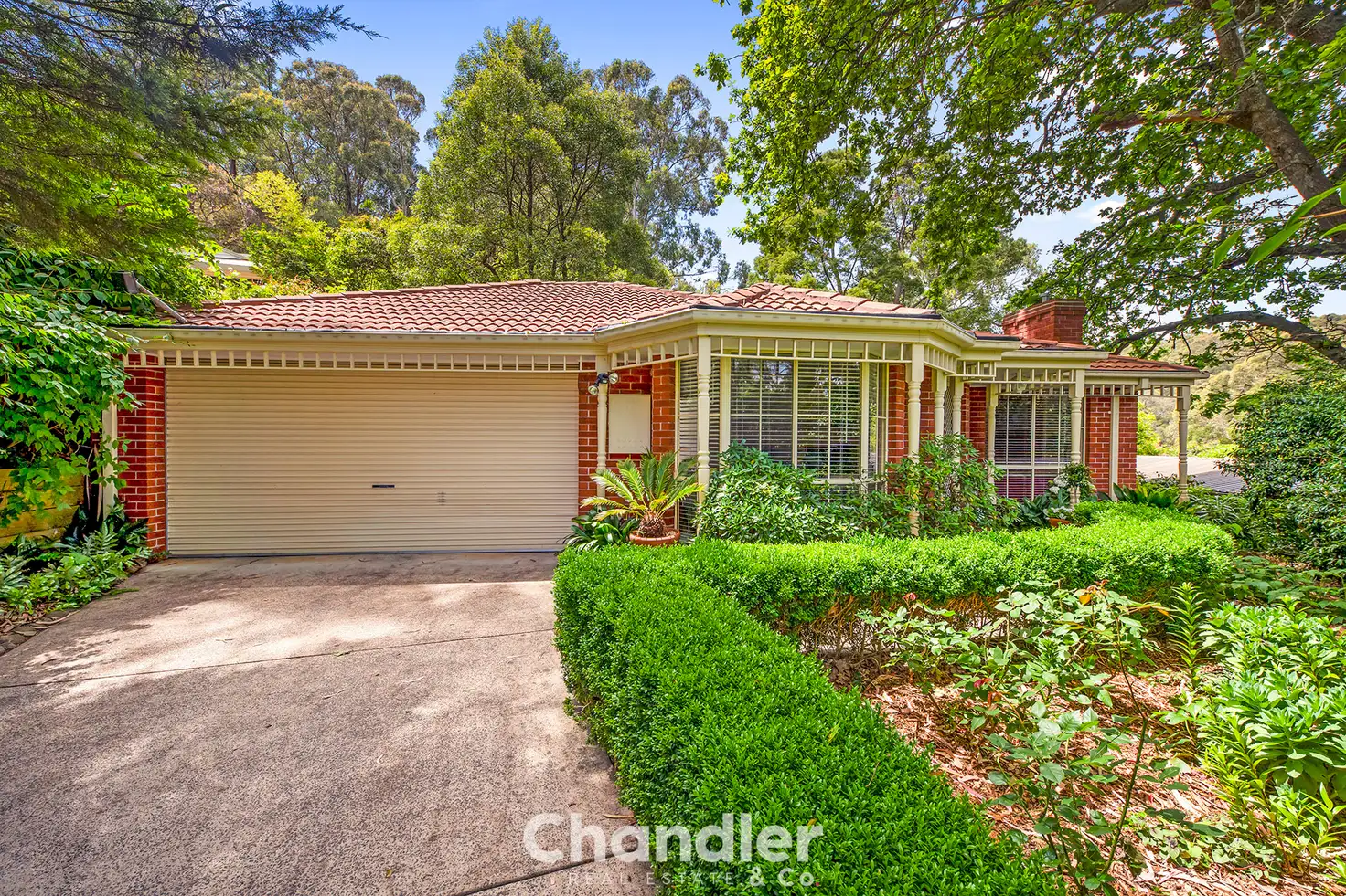 Main view of Homely house listing, 11 Wright Avenue, Upwey VIC 3158