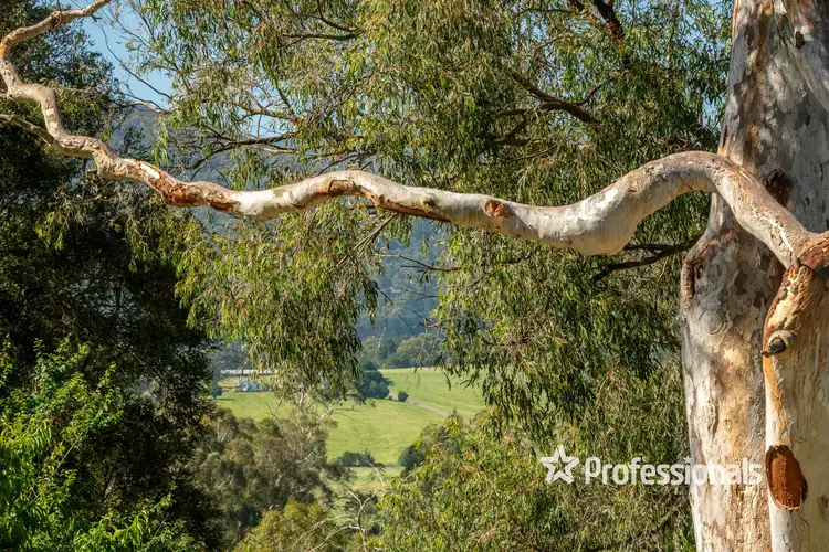 Fifth view of Homely land listing, 45 Alpine Boulevard, Launching Place VIC 3139