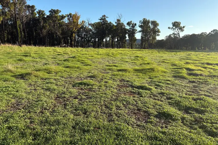 Third view of Homely rural property listing, Lot 245 & Donnybrook-Boyup Brook Road, Glen Mervyn WA 6239