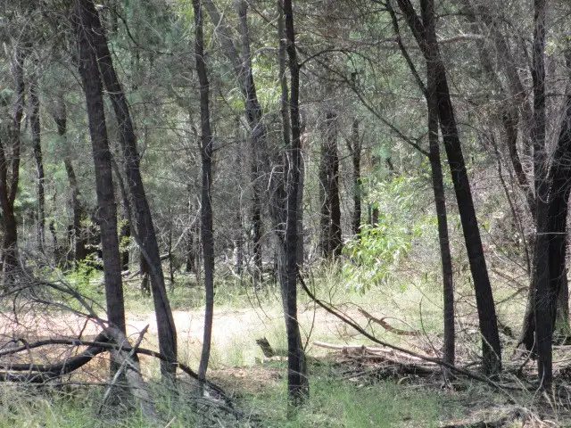 Third view of Homely rural property listing, Lot 94 Golden Glow Road, Tara QLD 4421