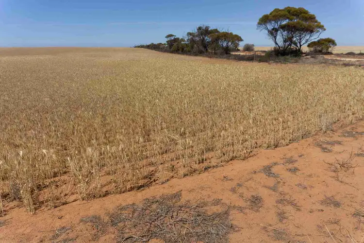 Third view of Homely rural property listing, LOT 10 Priess Road, Arno Bay SA 5603